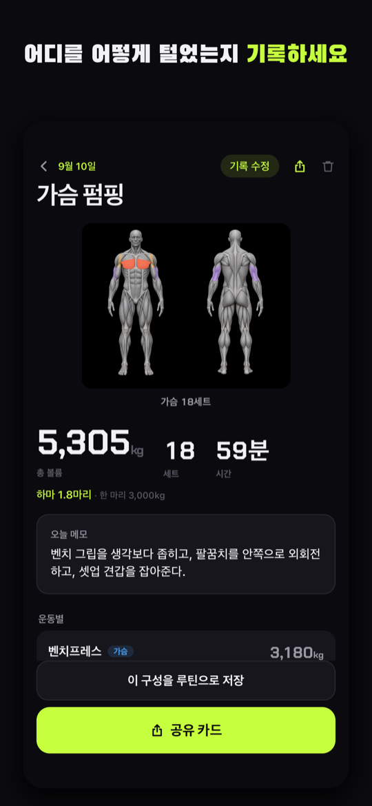 요약 화면. 인체도에 오늘 한 근육이 칠해진 모습과 총 볼륨